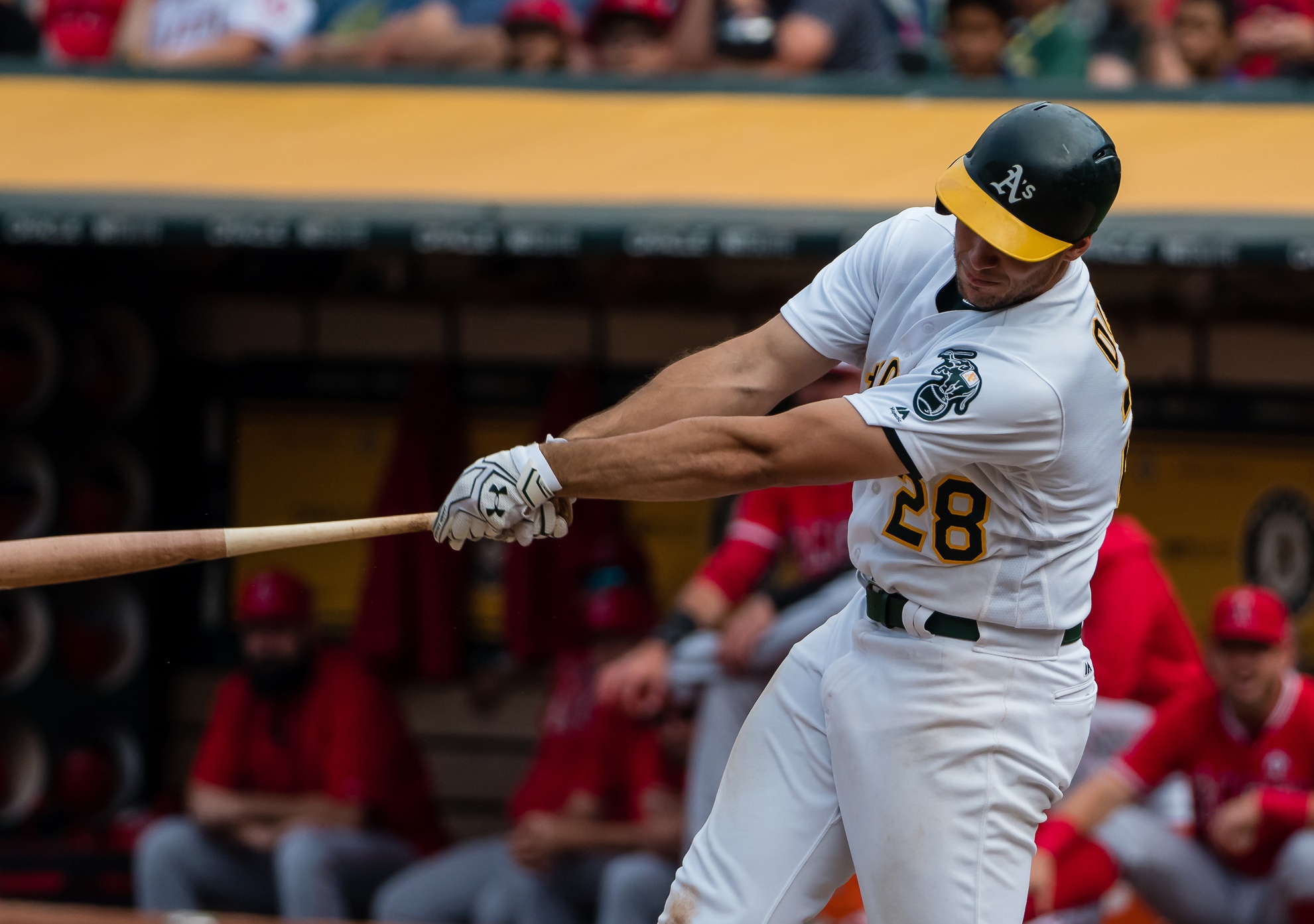 MARKET PULSE: Olson muscles up
