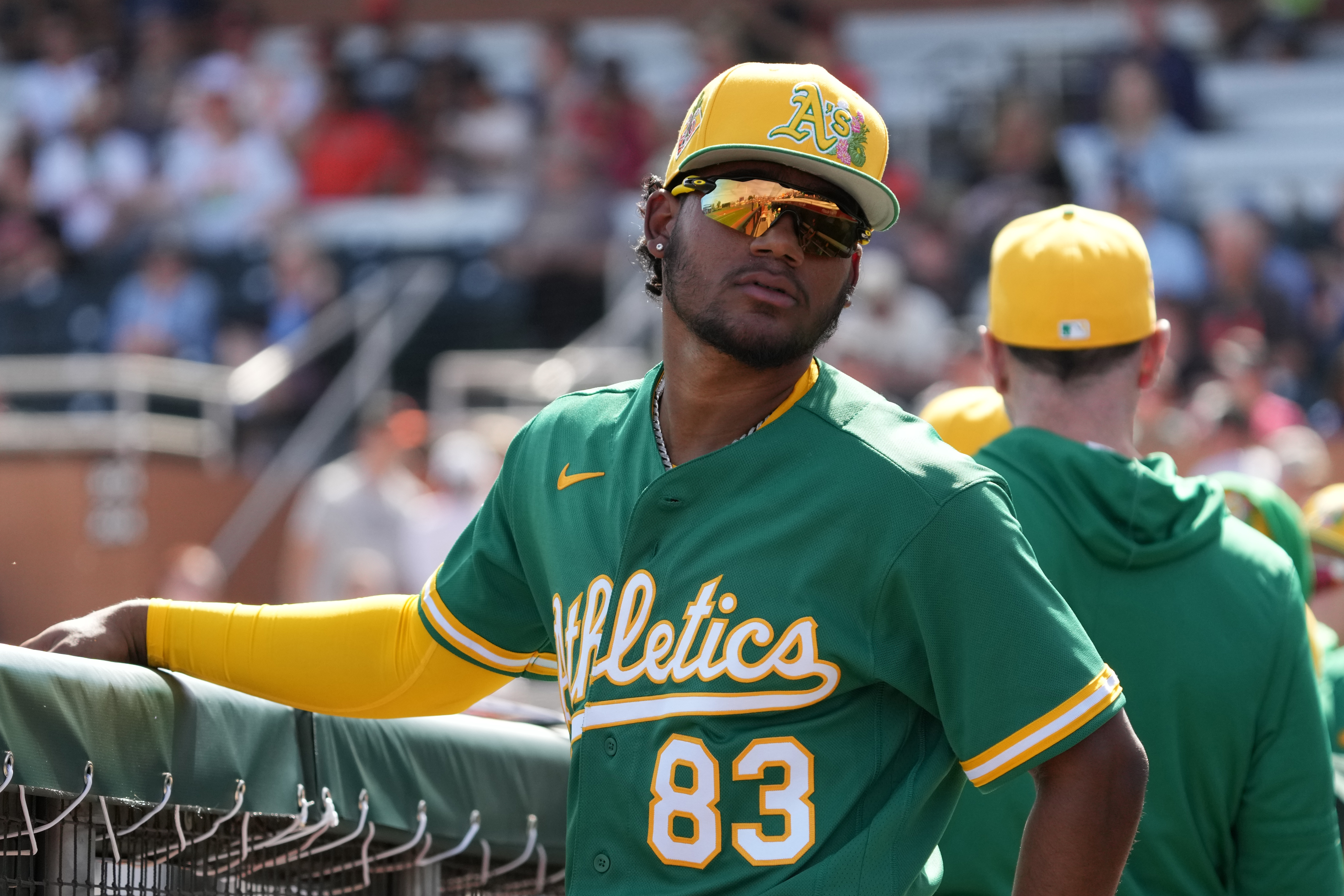 AL Midseason Organization Report Updates